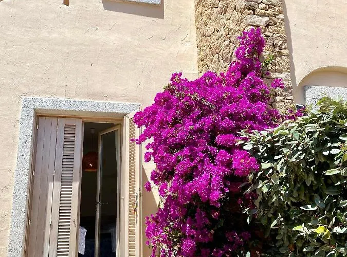 A Punta Tegge Il Mare La Il Tramonto Nyaraló La Maddalena